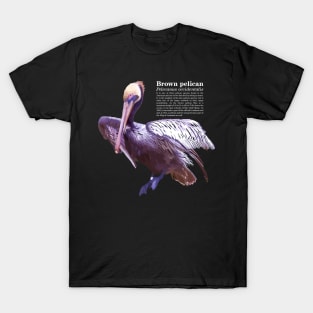 Brown pelican tropical bird white text T-Shirt